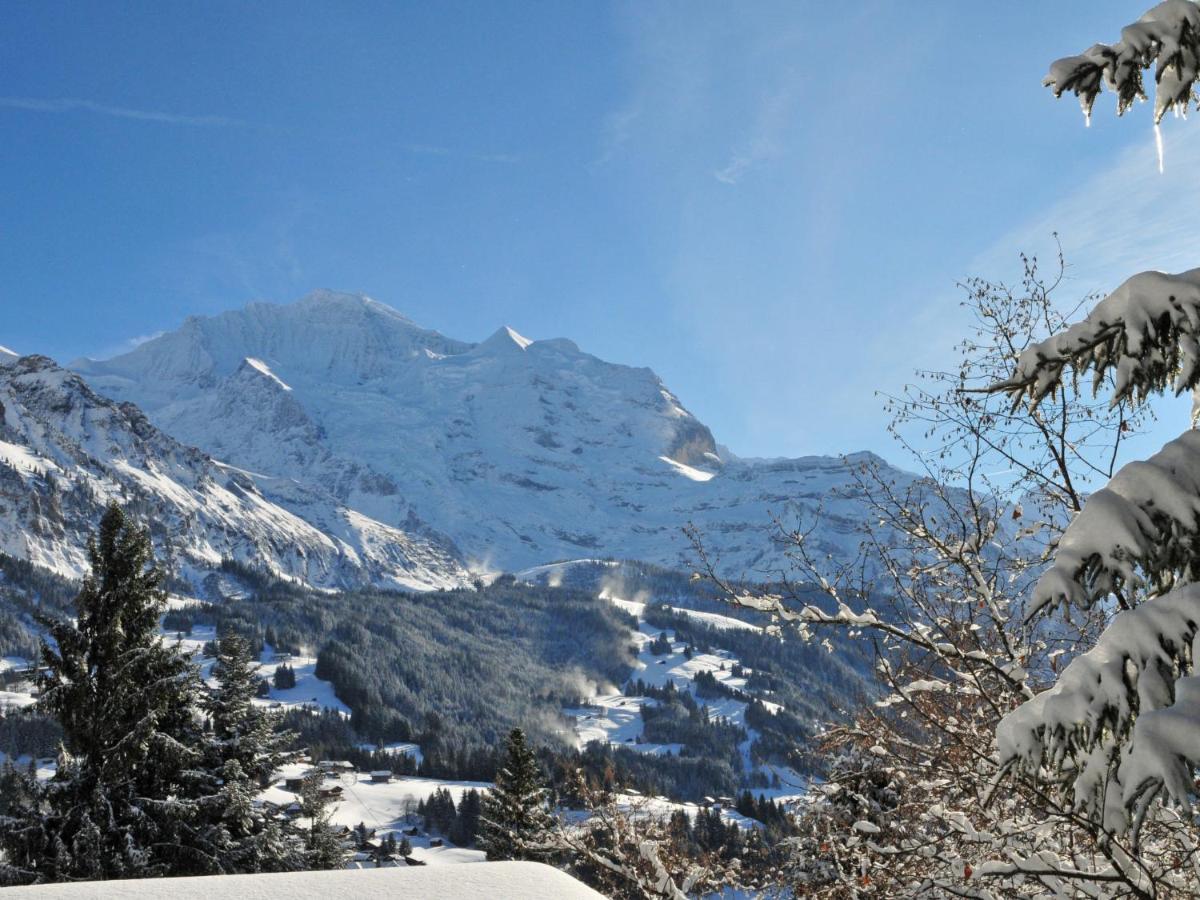 Apartment Panorama By Interhome Wengen Zewnętrze zdjęcie